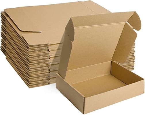 Небольшие рифленые картонные коробки для пакуя отправителя 12x9x3 литературы медленно двигают
